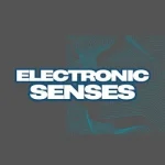 Electronic Senses